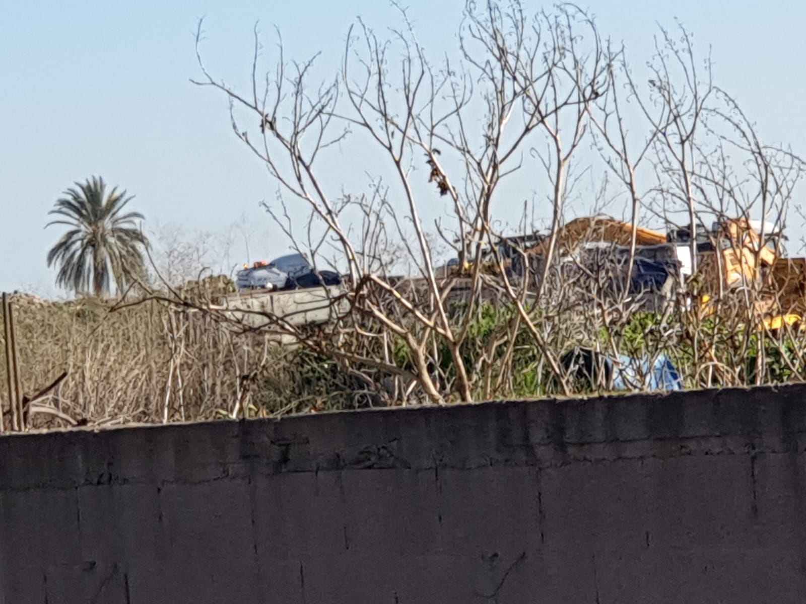 WhatsApp Image 2020-02-06 at 8.39.38 AM.jpeg.jpeg